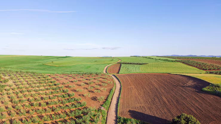 Farm Land
